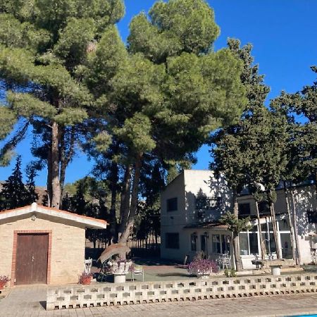 Habitacion En Casa Rural Particular El Palomar Вильена Экстерьер фото